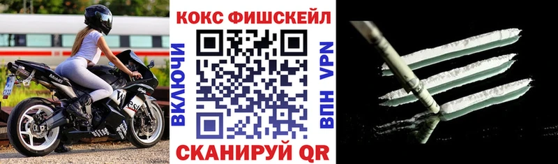 где можно купить Плёс COCAIN Columbia