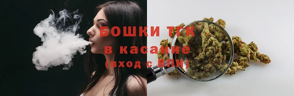 СК Волосово