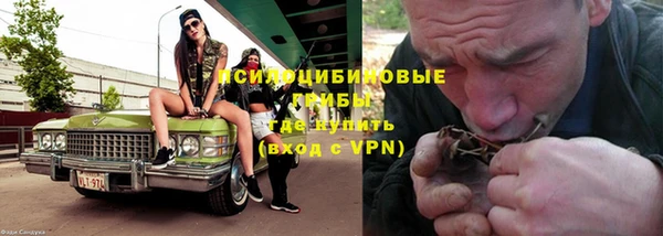 СК Волосово
